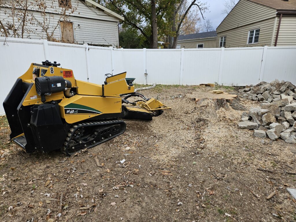 Stump Grinding in Pacific, MO
