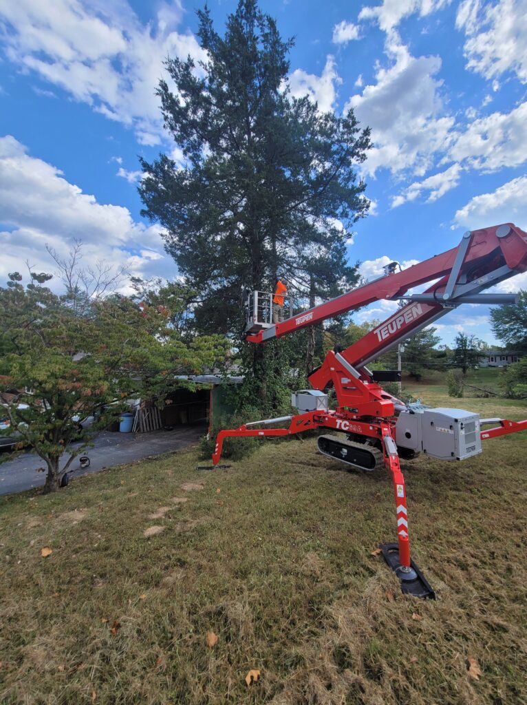 Tree Removal in Pacific, MO